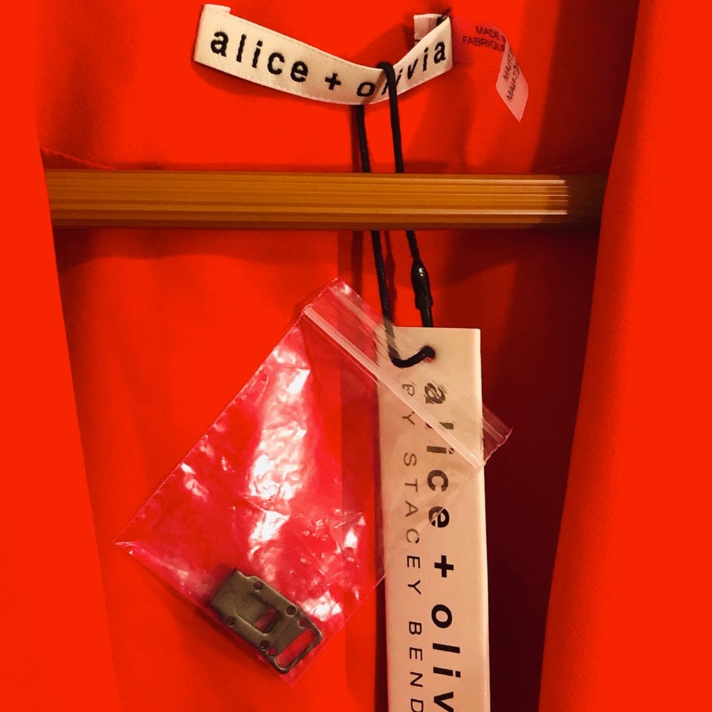 NWT Alice + Olivia Jace Oversized Blazer-Paprika - Picture 6 of 6